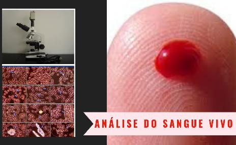 MÉDICO FAZ MICROSCOPIA NO SANGUE DE UM VACINADO PÓS 2ª DOSE